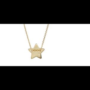 14K Gold Plated Star Charm Necklace
